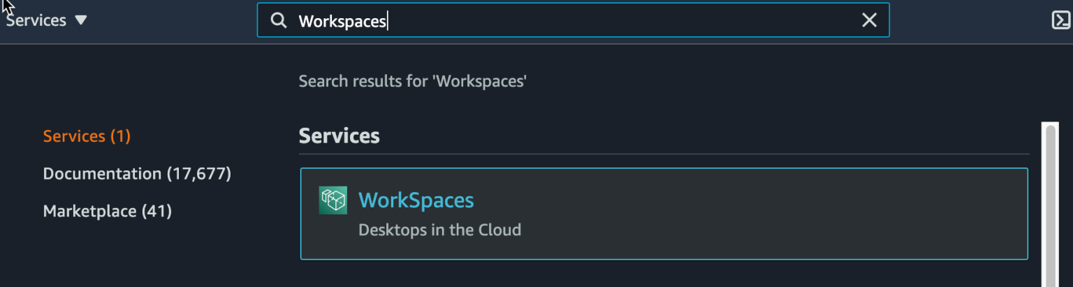 aws workspace client download