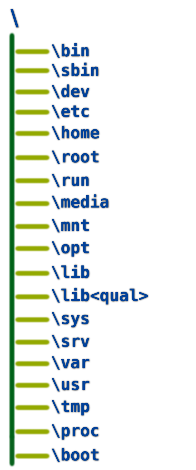 Understanding The Linux File System